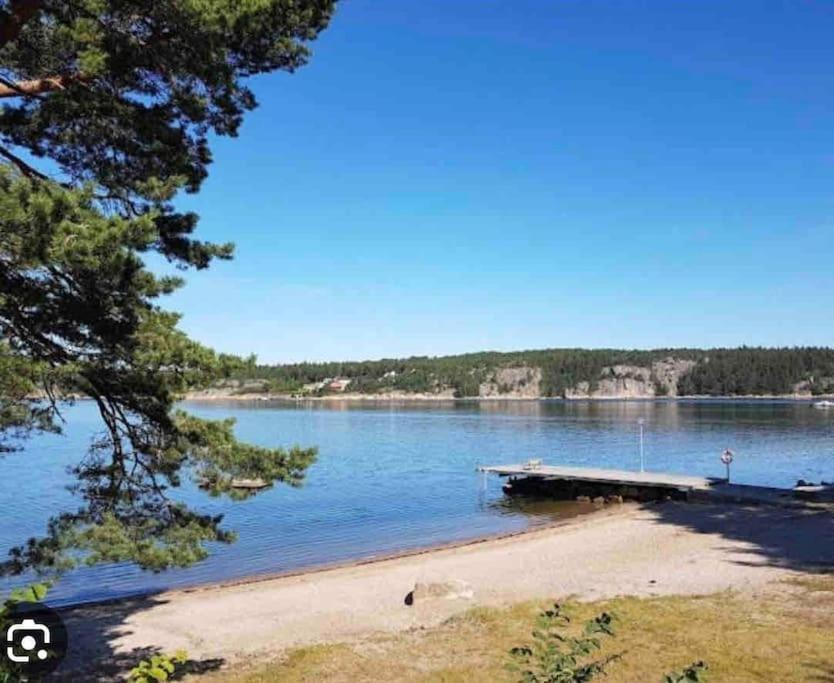 Forest Oasis & Sea